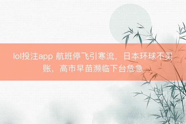 lol投注app 航班停飞引寒流，日本环球不买账，高市早苗濒临下台危急