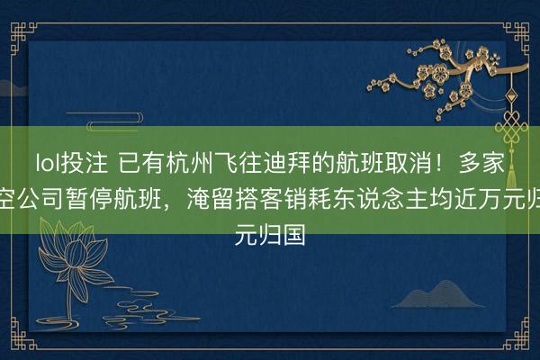 lol投注 已有杭州飞往迪拜的航班取消！多家航空公司暂停航班，淹留搭客销耗东说念主均近万元归国