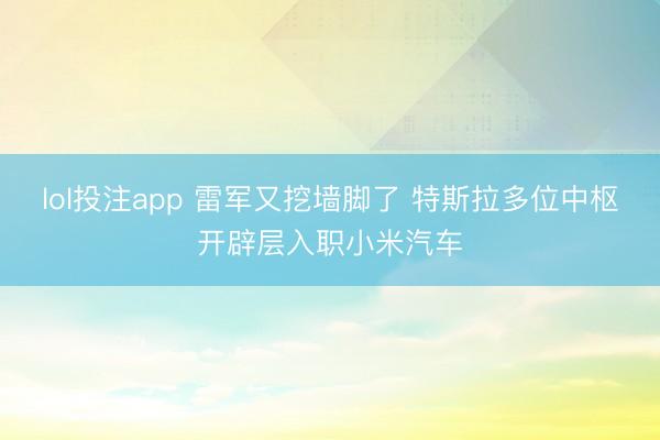 lol投注app 雷军又挖墙脚了 特斯拉多位中枢开辟层入职小米汽车