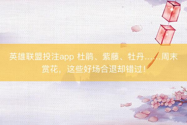 英雄联盟投注app 杜鹃、紫藤、牡丹……周末赏花，这些好场合退却错过！