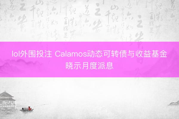 lol外围投注 Calamos动态可转债与收益基金晓示月度派息