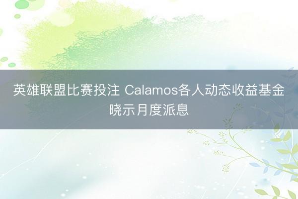 英雄联盟比赛投注 Calamos各人动态收益基金晓示月度派息